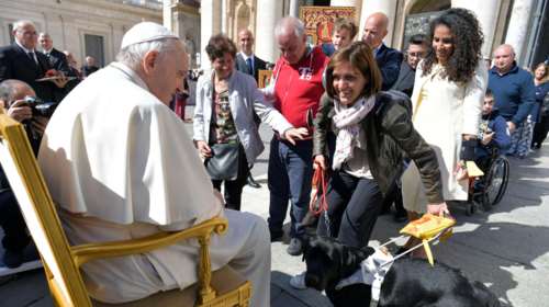 Ο πάπας Φραγκίσκος υμνεί τις πεθερές, αλλά τους ζητά να &quot;συγκρατήσουν&quot; τη γλώσσα τους