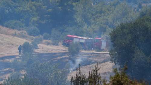Αρχαία Ολυμπία: Χειροπέδες σε 23χρονη για τρεις εμπρησμούς στο ίδιο σημείο
