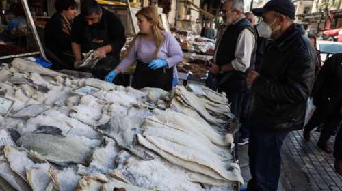 25η Μαρτίου: Οι φετινές τιμές στον μπακαλιάρο – Ο λινγκ, ο γνήσιος, ο Ισλανδίας και ο φρέσκος