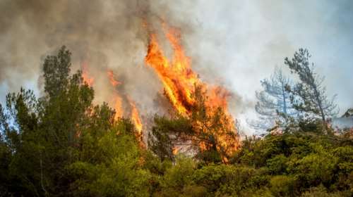 Συνάντηση Φλωρίδη - Κικίλια για την αυστηροποίηση των ποινών στους εμπρηστές - Έρχονται πρόστιμα έως και 30.000 ευρώ
