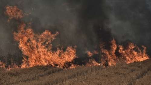 Προειδοποίηση Κουρέτα για τη Μαγνησία: Καρκινογόνες ουσίες από τα καμένα θα περάσουν στο πόσιμο νερό με την πρώτη βροχή