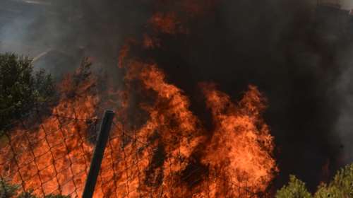 Φωτιά στον Όλυμπο: Πυρκαγιά σε δύσβατη περιοχή σε υψόμετρο 1900 μέτρων - Σηκώθηκαν δύο ελικόπτερα