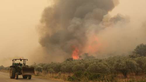 Φωτιά στην Αλεξανδρούπολη: Συνεχείς, μεγάλες αναζωπυρώσεις - Μηνύματα 112 για εκκενώσεις οικισμών