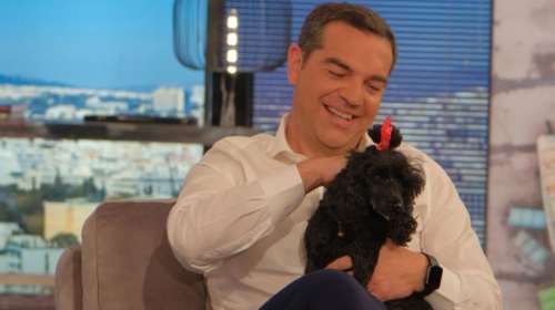 Αλέξης Τσίπρας: Η στιγμή που ο σκύλος του Παπανώτα σκαρφαλώνει στην αγκαλιά του [βίντεο]