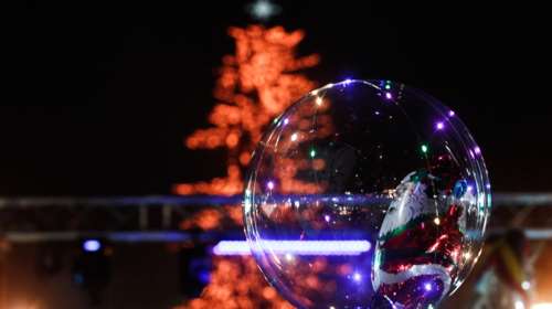 Χριστούγεννα στα Τρίκαλα: Φωταγωγήθηκε το μεγαλύτερο χριστουγεννιάτικο δέντρο της χώρας [εικόνες]