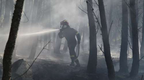 Κίνδυνος πυρκαγιάς την Πέμπτη σε Αττική και άλλες 8 περιοχές: Απαγορεύεται η είσοδος σε δάση - 264 φωτιές σε μια βδομάδα