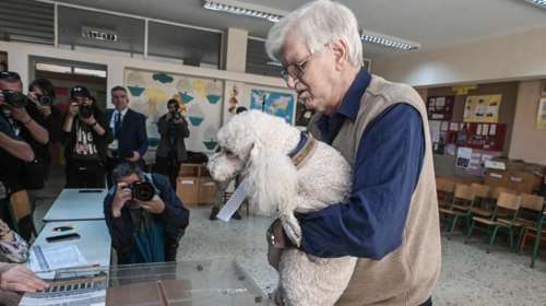 Σκύλοι που... ψηφίζουν, βρισιές και ξεχασμένες ταυτότητες σε φακέλους: Περίεργα και ευτράπελα από τις κάλπες [βίντεο]