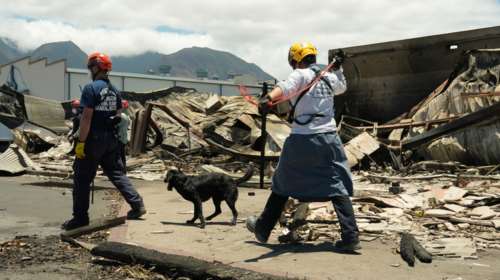 Χαβάη: Ξεπέρασαν τους 100 οι νεκροί από τις καταστροφικές πυρκαγιές - Στους 1.300 οι αγνοούμενοι [εικόνες]