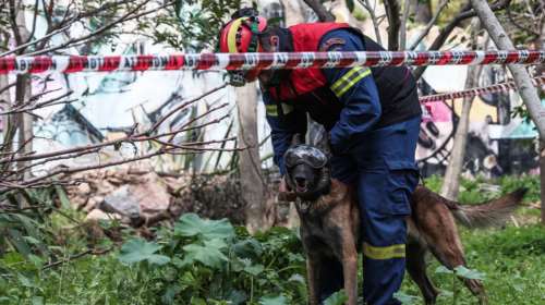Συναγερμός στην Εύβοια: Μεγάλη κινητοποίηση  για ηλικιωμένο που αγνοείται από χθες