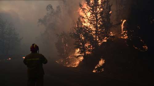 Έβρος: Πυρκαγιά κοντά στο τελωνείο των Κήπων [βίντεο]
