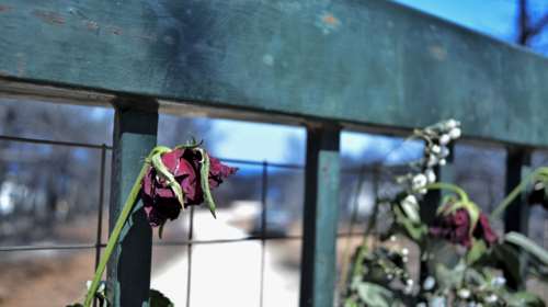 Μάτι: Ξεκινά η δίκη για τη φονική πυρκαγιά του 2018 - 21 κατηγορούμενοι και 213 μάρτυρες