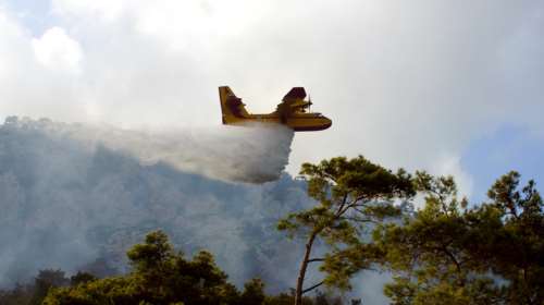 Φωτιά στη Λέσβο, στην περιοχή Βρίσα - Σηκώθηκαν δύο αεροσκάφη και τέσσερα ελικόπτερα