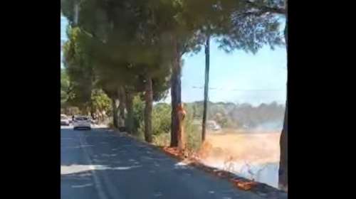 Φωτιά στη Λέσβο: Κάηκαν σταθμευμένα αυτοκίνητα στην περιοχή Κεράμι