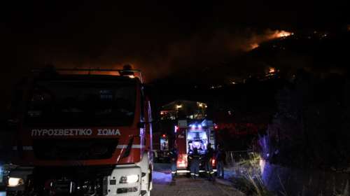 Φωτιά στη Χίο: Σε εξέλιξη πυρκαγιά στο Δελφίνι