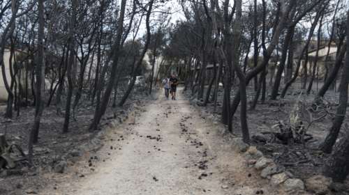 Δίκη για το Μάτι: Ποιοι κατηγορούμενοι έχουν ευθύνες για την τραγωδία - Τι κατέθεσε ο τεχνικός σύμβουλος των θυμάτων