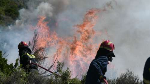 Υπό έλεγχο η πυρκαγιά σε δασική έκταση στη Βραυρώνα –  Δεν απειλείται κατοικημένη περιοχή