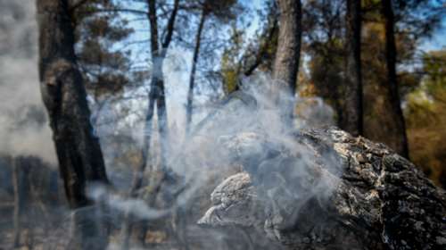 Ανατροπή με τη φωτιά στον Θεολόγο: Ο 14χρονος αρνήθηκε την εμπλοκή του με τους εμπρησμούς