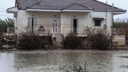 Θεσσαλία: Εντοπίστηκαν πέντε κρούσματα λεπτοσπείρωσης - Υπό διερεύνηση άλλα 17