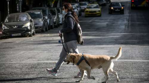 Βουλή: Ψηφίστηκε το νομοσχέδιο για τα ζώα συντροφιάς - &quot;Βήμα μπροστά στην προστασία των ζώων&quot;