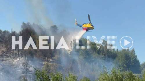 Φωτιά σε δασική έκταση στην Ηλεία: Ισχυροί άνεμοι στην περιοχή, σηκώθηκε ελικόπτερο [εικόνες-βίντεο]