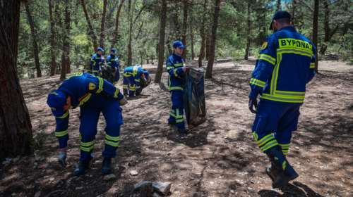 Καύσωνας Κλέων: Το σχέδιο για τον κίνδυνο πυρκαγιών - Περιπολίες και απαγόρευση κυκλοφορίας σε περιαστικά δάση