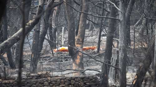 Δίκη για το Μάτι: &quot;Πέντε λεπτά να είχαμε...&quot; - Ένταση στην αίθουσα με κάτοικο να διακόπτει την κατάθεση του πραγματογνώμονα