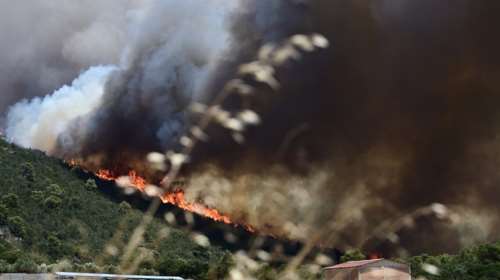 Μεσσηνία: 30χρονος ομολόγησε εμπρησμούς σε τρεις πυρκαγιές στην περιοχή