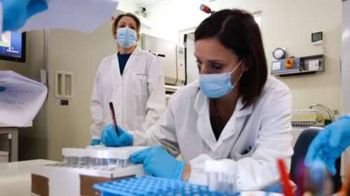 Ευλογιά των πιθήκων: Στα 48 τα κρούσματα στην Ελλάδα - Όλες οι λοιμώξεις αφορούν άντρες