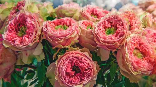 Εορτολόγιο: Ποιοι γιορτάζουν σήμερα, Τετάρτη 5 Απριλίου