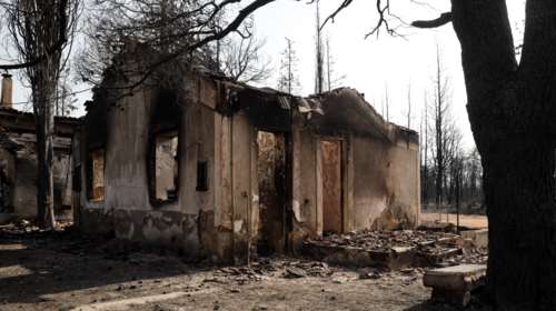 Από σήμερα οι αιτήσεις για τις αποζημιώσεις των πυρόπληκτων - Τι να προσέξουν οι ενδιαφερόμενοι