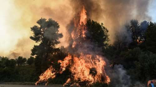 Συναγερμός στην πυροσβεστική: Φωτιά στη Λακωνία - Σε δασική έκταση