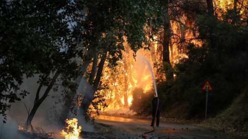 Πάνω από 8 χιλιόμετρα το μέτωπο στη Φωκίδα - Εκκένωση και στον Τολοφώνα