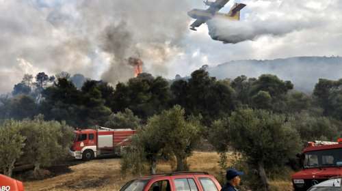 Παπίκιο Όρος: Μη διαχειριζόμενο δάσος και δύσβατο έδαφος αυξάνουν τις δυσκολίες κατάσβεσης της πυρκαγιάς - Καίει 17 μέρες