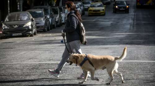 Κορονοϊός: Και όμως...η βόλτα με τον σκύλο στο πάρκο, αυξάνει τον κίνδυνο μόλυνσης του ιδιοκτήτη του σκύλου