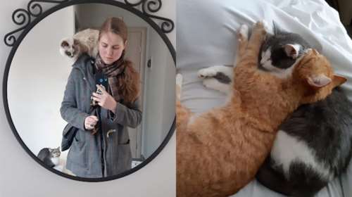 Μητέρα και κόρη ταξίδεψαν 3,5 μέρες με τα 16 ζώα τους από την Ουκρανία στην Ελλάδα