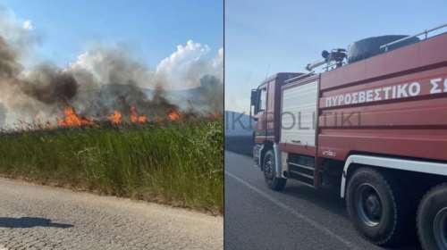 Φωτιά στη Χαλκιδική: Μάχη να μην περάσει στο βουνό- Πνέουν ισχυροί άνεμοι [Εικόνες]