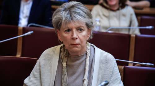 &quot;Καρφιά&quot; Ακρίτα για την παραίτηση Πατέλη: Ο Μητσοτάκης παρέδωσε αμαχητί το κόμμα στους διαπρύσιους κήρυκες της ομοφοβικής ρητορικής
