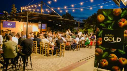 Εντυπωσιακή Πρεμιέρα για τη νέα προϊοντική σειρά Velvita Gold