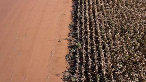 Ανυπολόγιστες οι ζημιές στα προϊόντα από τον θεσσαλικό κάμπο - Ποια κινδυνεύουν με νέες ανατιμήσεις