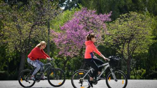 Παγκόσμια Ημέρα Ποδηλάτου: Το πιο φιλικό μέσο για το περιβάλλον - Δράσεις και εκδηλώσεις από δήμους