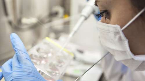 18 παιδιά σε 11 οικογένειες στην Ελλάδα με το καρκινογόνο γονίδιο του δότη σπέρματος - Το 2017 η τελευταία χρήση του