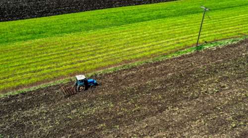 Το όραμα για τη γεωργία και τα τρόφιμα: Τα μέτρα για να διασφαλιστεί η επάρκεια και η βιωσιμότητα του αγροδιατροφικού κλάδου