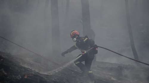 Μεσσηνία: Υπό μερικό έλεγχο η φωτιά στην περιοχή Πλάτη