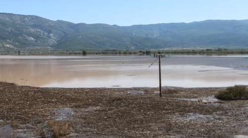 Θεσσαλία: Λεπτοσπείρωση και νόσος των πτηνοτρόφων απειλούν τους κατοίκους – Τι συστήνουν οι ειδικοί
