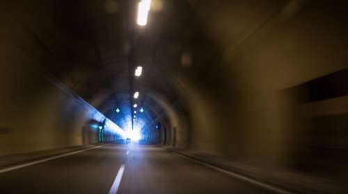 Σιάτιστα: Όχημα της αστυνομίας παρέσυρε και σκότωσε αρκούδα