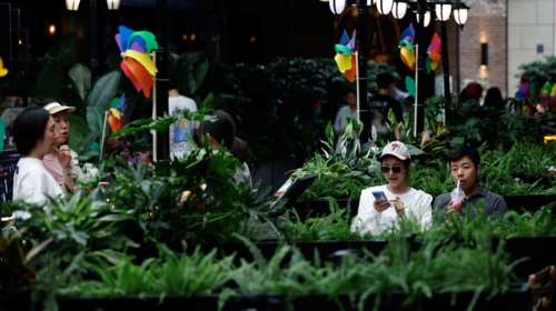 Κίνα: Σεισμός 7,1 βαθμών στην επαρχία Σιντζιάνγκ