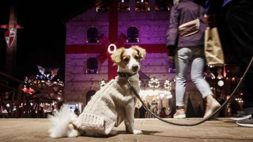 Μαγικά Χριστούγεννα για 12η χρονιά στα Τρίκαλα: Με τον Μικρό Πρίγκιπα επιστρέφει ο Μύλος των Ξωτικών