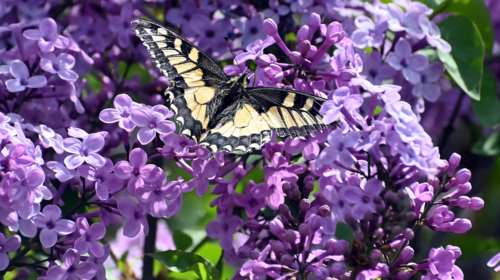 Εορτολόγιο: Ποια ονόματα γιορτάζουν σήμερα, Σάββατο 19 Απριλίου