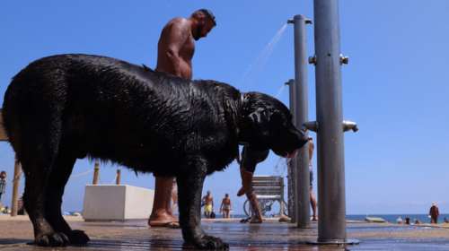 Ο πρώτος καύσωνας του φετινού καλοκαιριού: &quot;Ψήθηκε&quot; η Ισπανία - Έφθασε του 44 βαθμούς Κελσίου [Εικόνες]