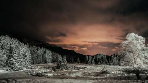 Μαγευτικές εικόνες από το χιονισμένο δάσος Περτουλίου τη νύχτα [εικόνες και video]